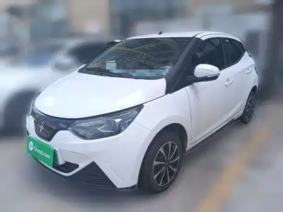 JMCG New Energy Little Kirin 2025