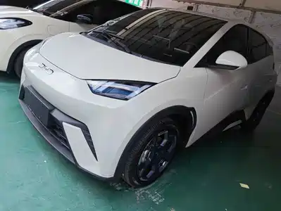 BYD Seagull 2024