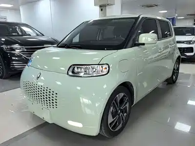 Ora White Cat 2021