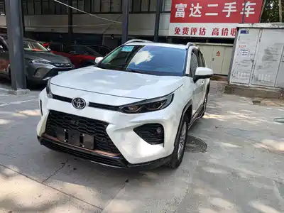 Toyota Wildlander 2024