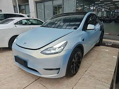 Tesla Model Y 2021
