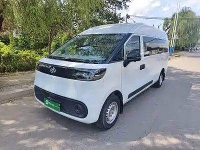 SAIC Maxus Dana V1 2024