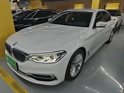 BMW 5 Series New Energy 2020