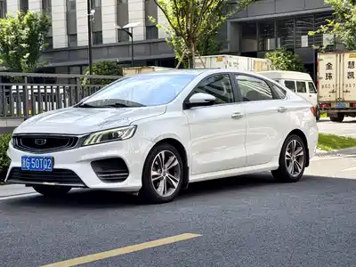 Geely Binrui 2019