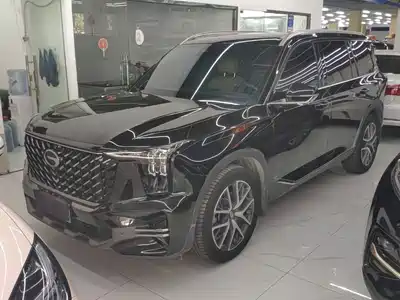 GAC Trumpchi GS8 2024