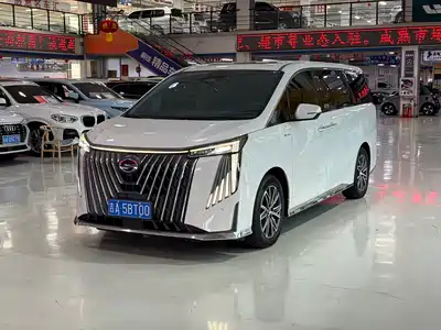 GAC Trumpchi M8 2024