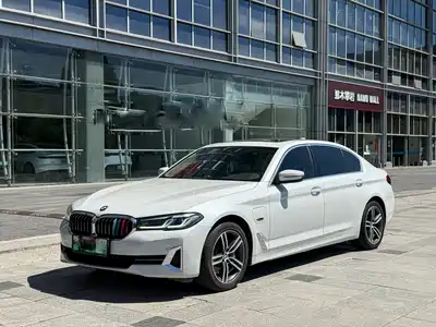 BMW 5 Series New Energy 2021