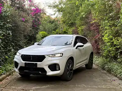 WEY VV7 2017