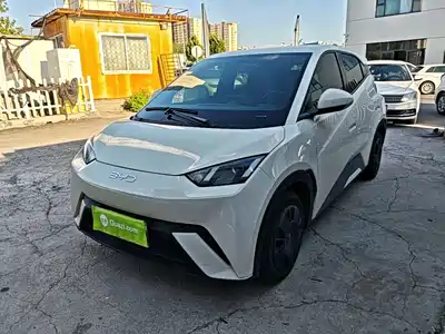 BYD Seagull 2025