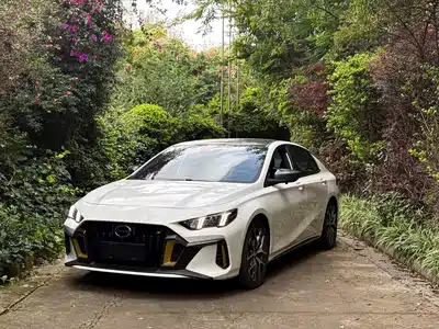 GAC Trumpchi Emkoo 2021