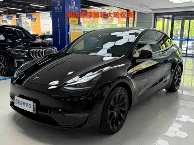 Tesla Model Y 2021