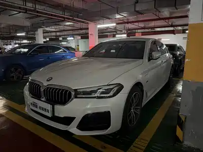 BMW 5 Series New Energy 2023