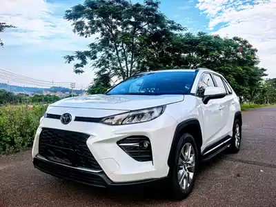 Toyota Wildlander 2022