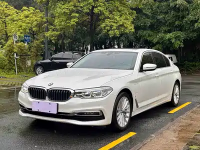 BMW 5 Series New Energy 2020