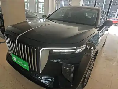 Hongqi E-HS9 2023