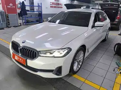 BMW 5 Series New Energy 2021