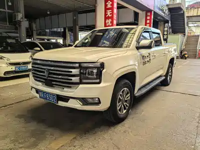 Jiangling Dadao 2023