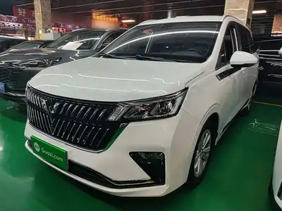 Wuling Motors Jiachen 2022