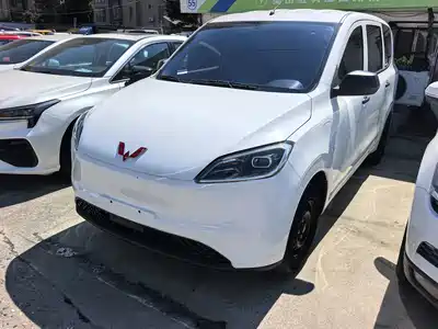 Wuling Motors Hongguang New Energy 2024