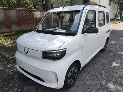 Wuling Motors Zhiguang NEV 2026