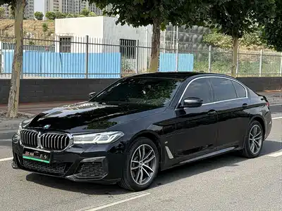 BMW 5 Series New Energy 2022