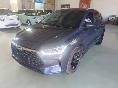 BYD e2 2021
