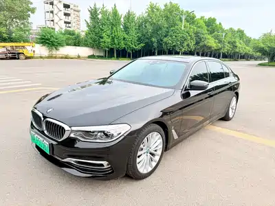 BMW 5 Series New Energy 2019