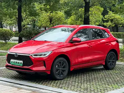 BYD e2 2021