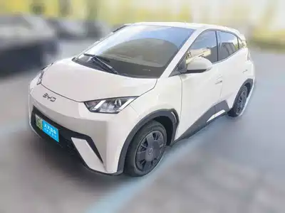 BYD Seagull 2024