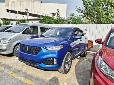 WEY VV6 2019