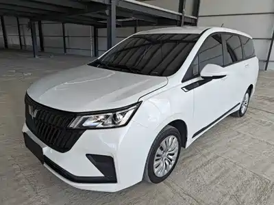Wuling Motors Jiachen 2024