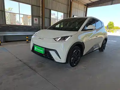BYD Seagull 2024