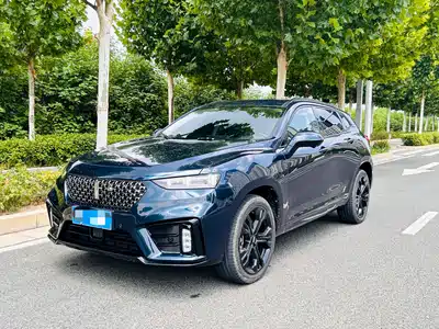 WEY VV7 2019