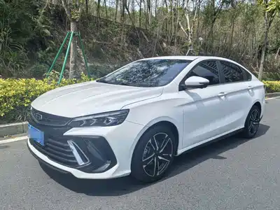 Geely Binrui 2024