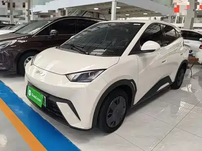 BYD Seagull 2024