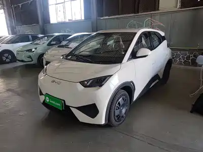 BYD Seagull 2026