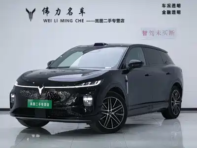 Voyah Auto Zhiyin 2025