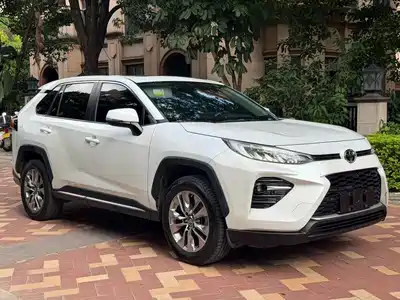 Toyota Wildlander 2021