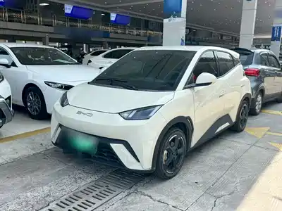 BYD Seagull 2023