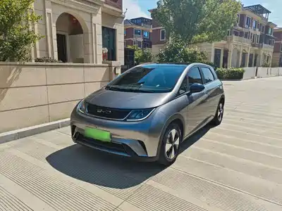 BYD Dolphin 2024
