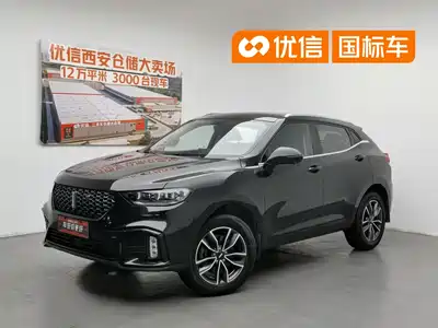 WEY VV5 2019