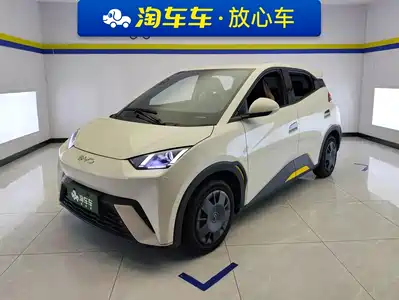BYD Seagull 2025