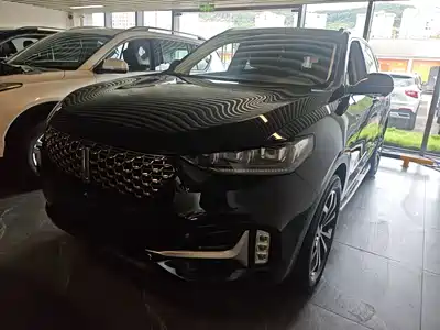 WEY VV6 2020