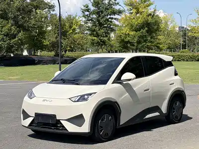 BYD Seagull 2025