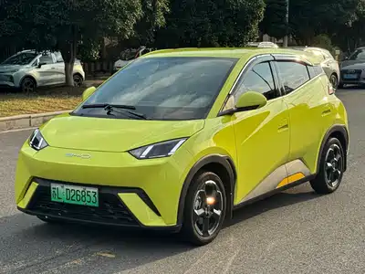 BYD Seagull 2024