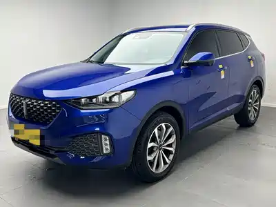 WEY VV6 2019