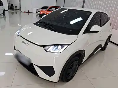 BYD Seagull 2025