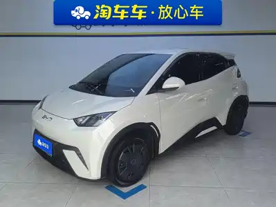 BYD Seagull 2024