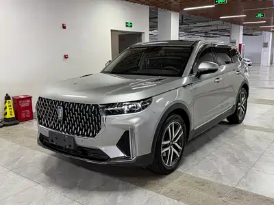 Besturn T99 2020