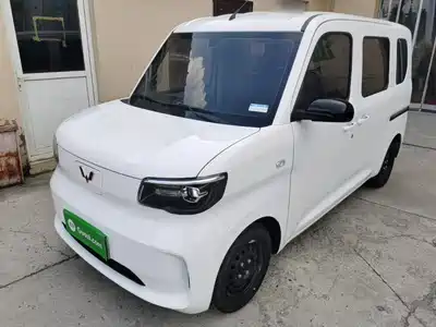 Wuling Motors Zhiguang NEV 2026